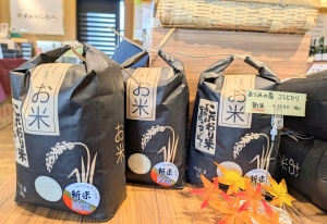 🌾おいしい新米入荷🌾