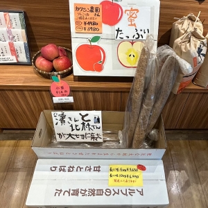 長芋とりんごが入荷しました！